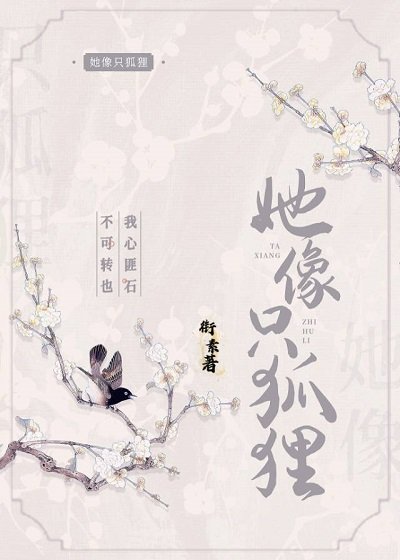 《她像只狐狸》