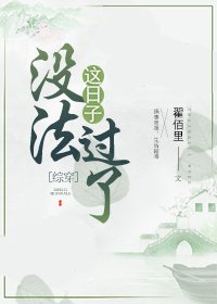 《(综同人)这日子没法过了》