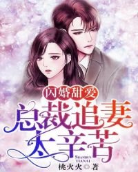 《闪婚甜爱:总裁追妻太辛苦》
