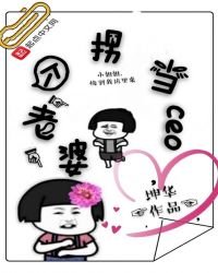 《拐个老婆当ceo》
