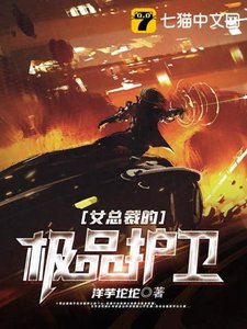 《女总裁的极品护卫》