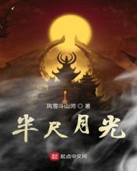 《青月风雪行》