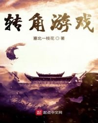 《转角游戏》