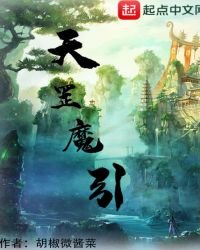 《天罡魔引》
