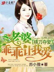 《横刀夺爱:老婆乖乖让我爱》