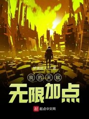 《我的天赋无限加点》