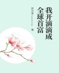 《我开滴滴成全酋首富》