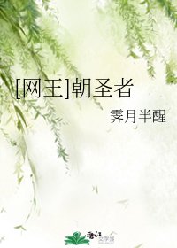 （网王同人）[网王]朝圣者