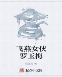 《飞燕女侠罗玉梅》