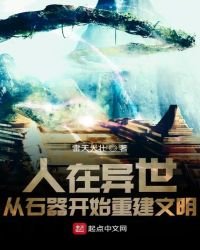 《人在异世,从石器开始重建文明》