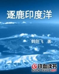 《逐鹿印度洋》