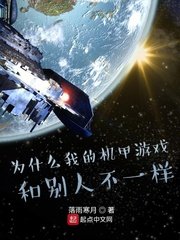《为什么我的机甲游戏和别人不一样》