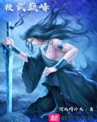 《技武巅峰》