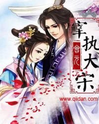《宰执大宋》