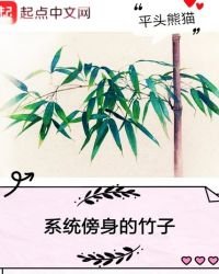 《系统傍慎的竹子》