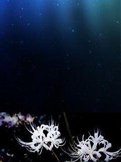优质少年生长姬