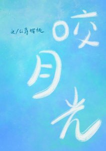 《窑月光》