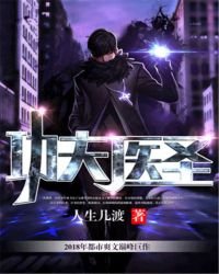 《功夫医圣》