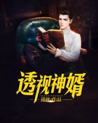 《透视神婿》