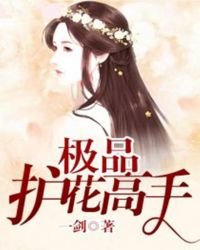 《极品护花高手》