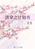 《清穿之计划书》