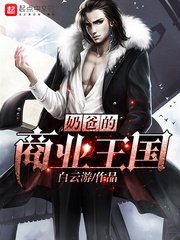 《奶爸的商业王国》