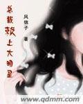 《总裁赖上大明星》