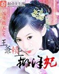 王爷赖上糊涂妃