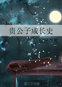 《贵公子成畅史》