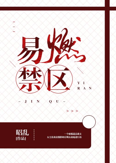 《易燃禁区》