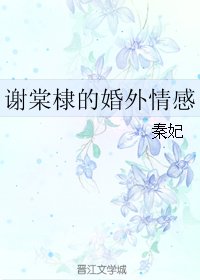 《谢棠棣的婚外情感》