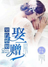 《契约婚姻,娶一赠一》