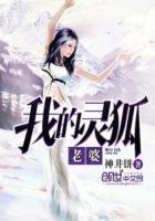 《我的灵狐老婆》