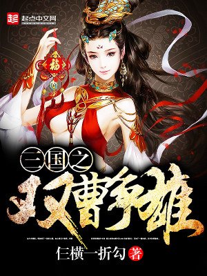 《三国之双曹争雄》