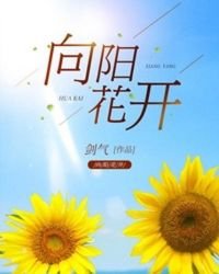 《向阳花开》