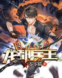 《龙都兵王》