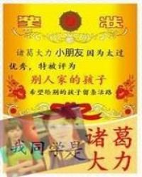 我同学是诸葛大力