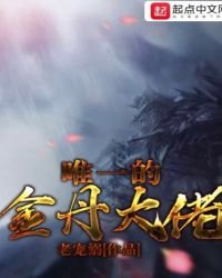《唯一的金丹大佬》
