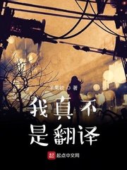 《我真不是翻译》