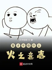 《我才不信什么火之意志》