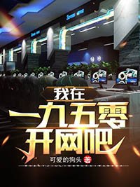 《我在一九五零开网吧》