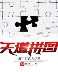 《天道拼图》