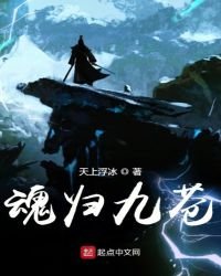 《魂归九苍》
