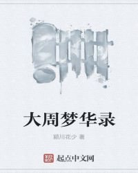 《大周梦华录》
