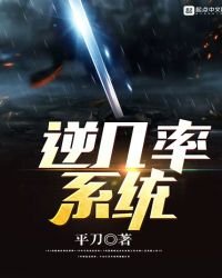 《逆几率系统》