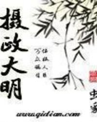 《摄政大明》