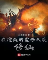 《在漫威的霍格沃茨修仙》