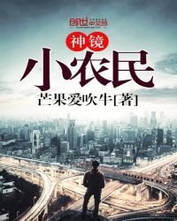 《神镜小农民》