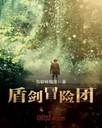 《盾剑冒险团》