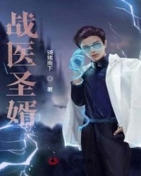 《战医圣婿》